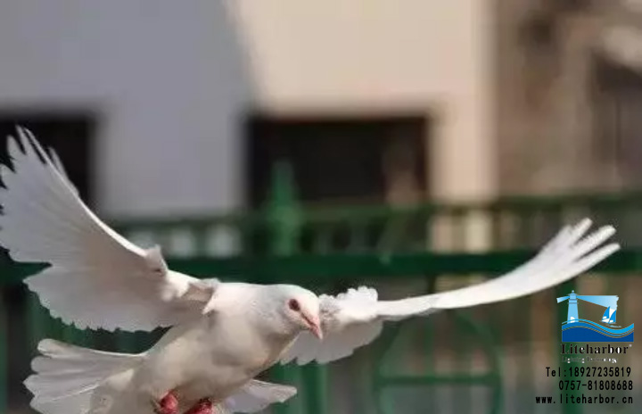 微信圖片_20170823224620